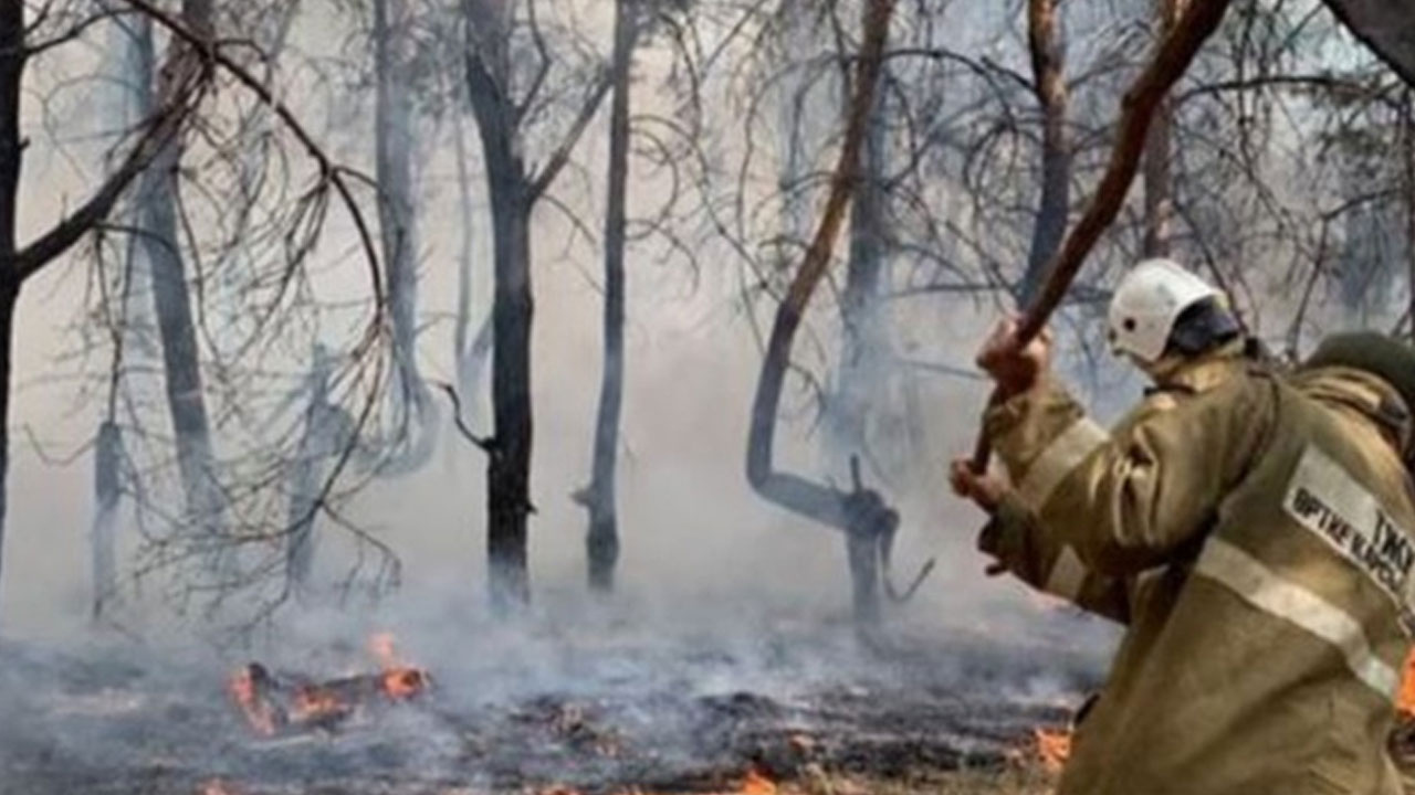 Kazakistan’da orman yangını: 14 işçi hayatını kaybetti