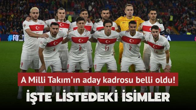 A Milli Takım’ın aday kadrosu belli oldu! İşte listedeki isimler
