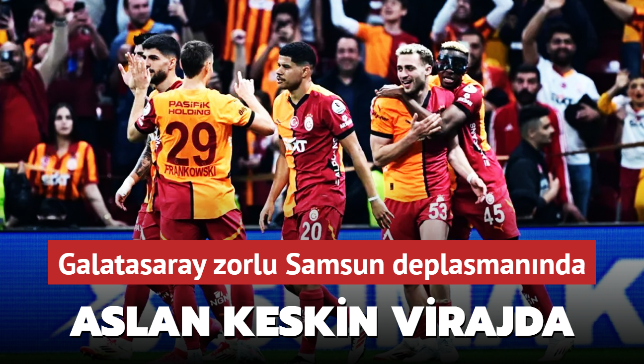 Aslan keskin virajda