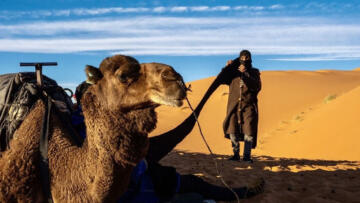 Suudi Arabistan’da ‘deve pasaportu’ projesi