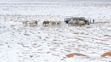 Suudi Arabistan’da çöller dolu yağışıyla beyaza büründü