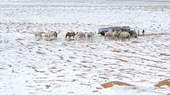 Suudi Arabistan’da çöller dolu yağışıyla beyaza büründü