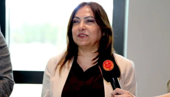 Fırat: Basını cezalandıran değil, basın etiğini düzenleyen yasa gerekli