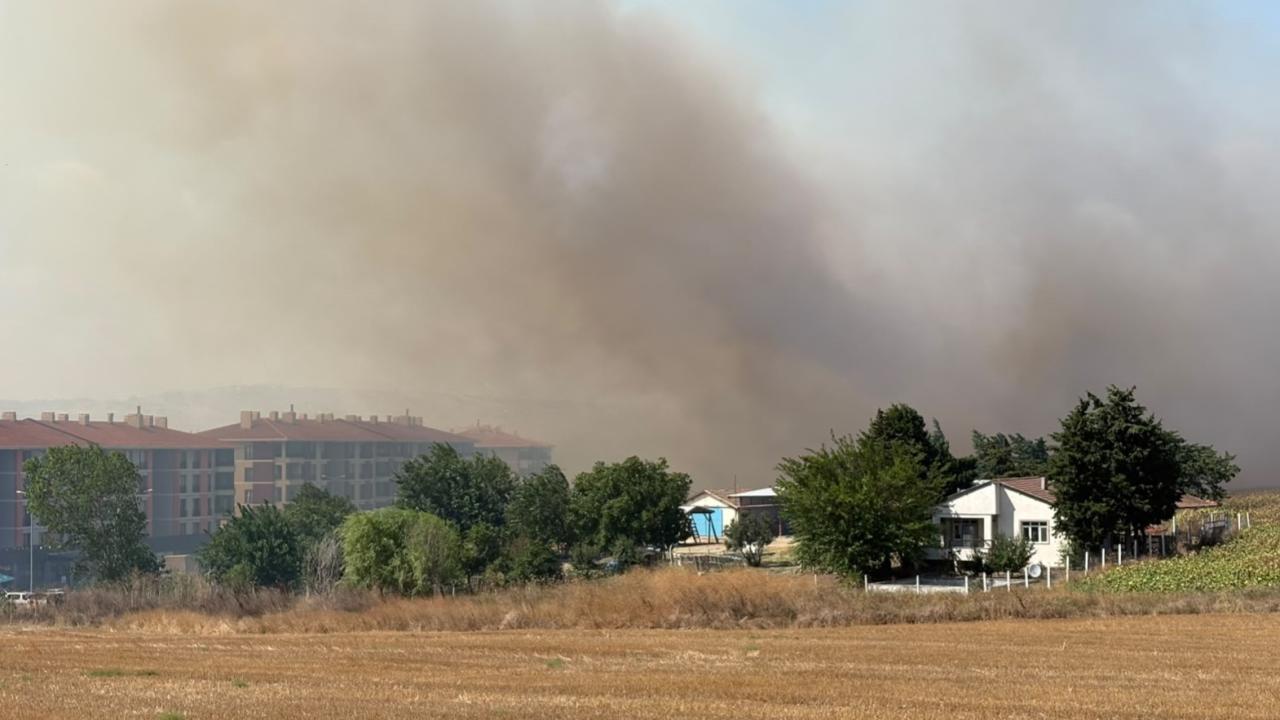 Silivri'de otluk alanda yangın